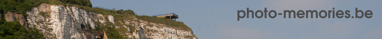 banner1-1