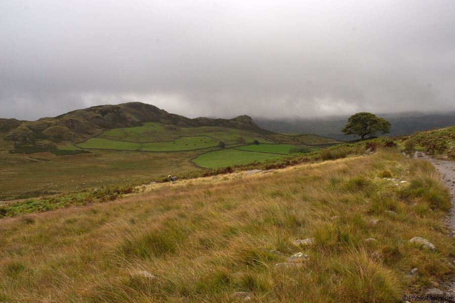 2007-09-02-0032.jpg