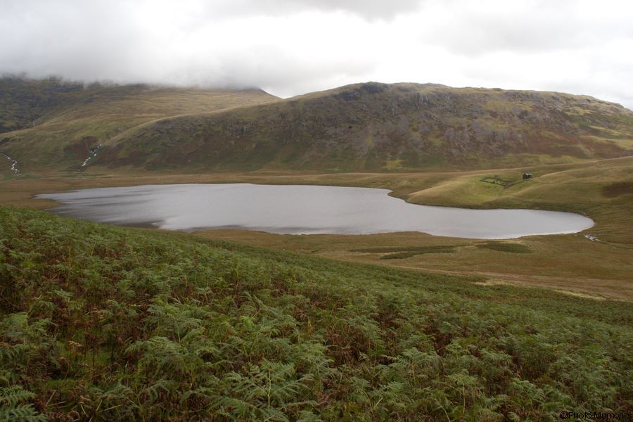 2007-09-02-0044.jpg