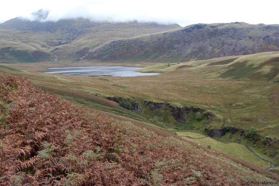 2007-09-02-0045.jpg