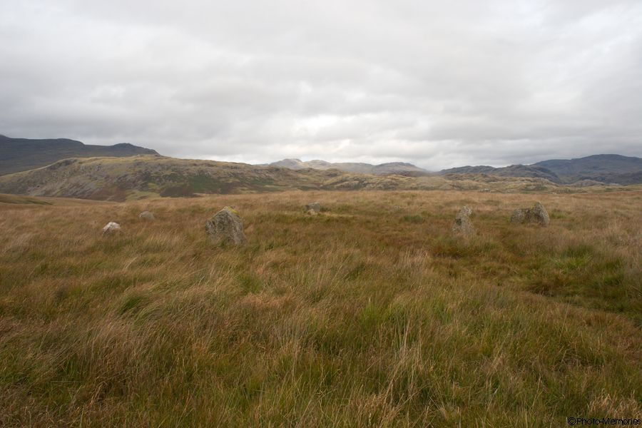 2007-09-02-0050.jpg