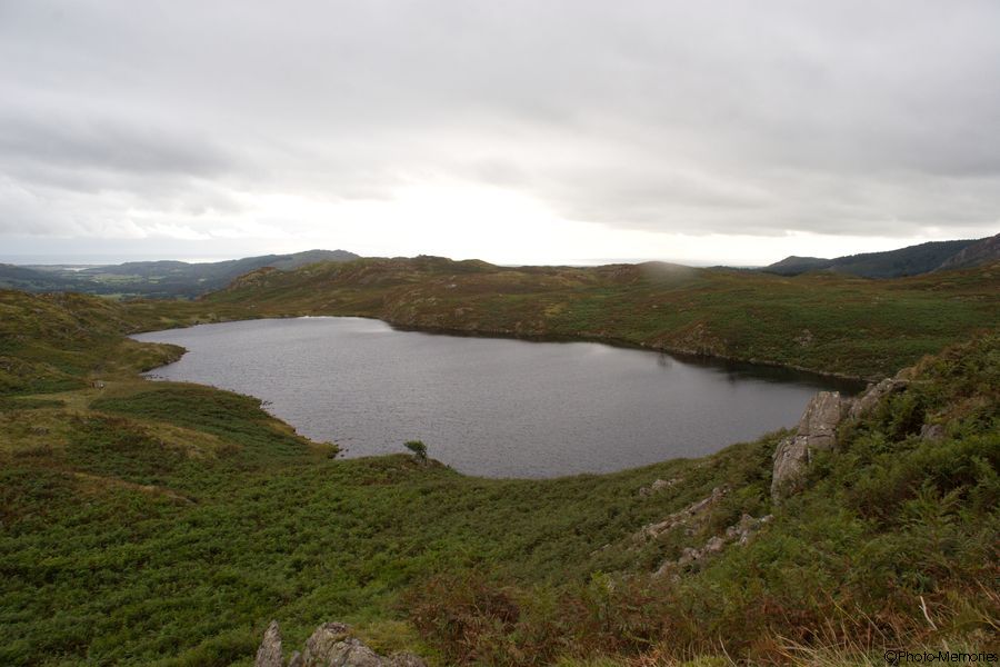 2007-09-02-0054.jpg