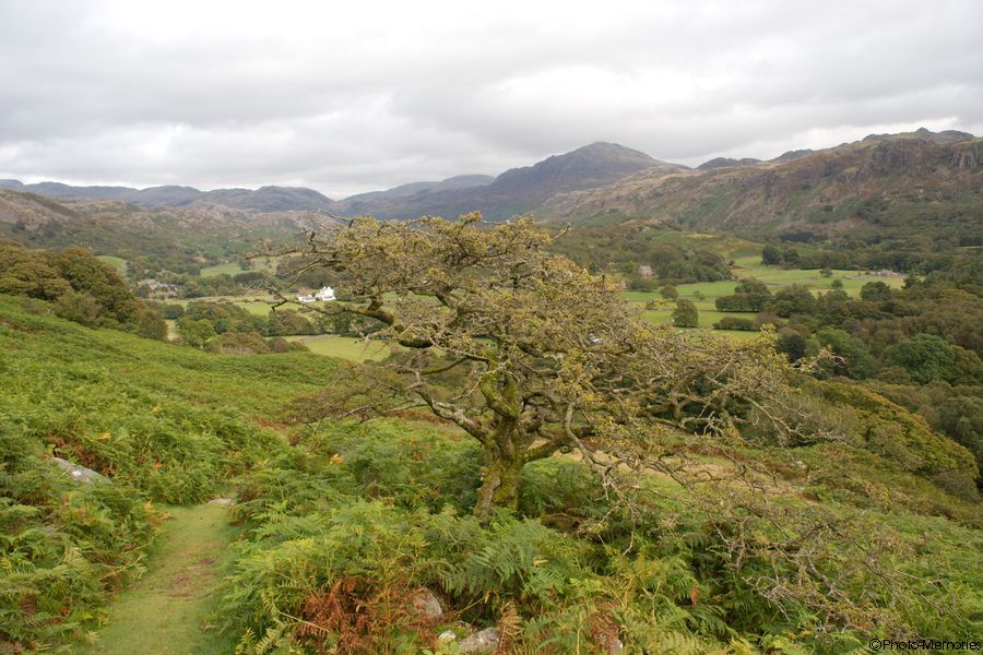 2007-09-02-0055.jpg