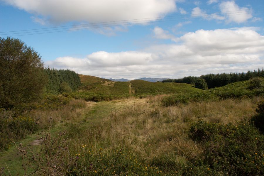2007-09-06-0141.jpg