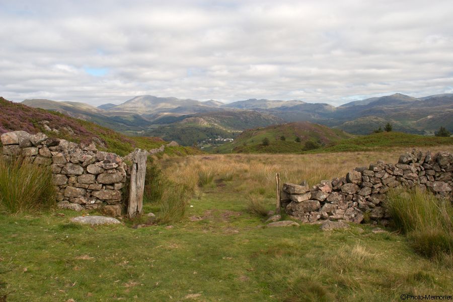 2007-09-06-0150.jpg