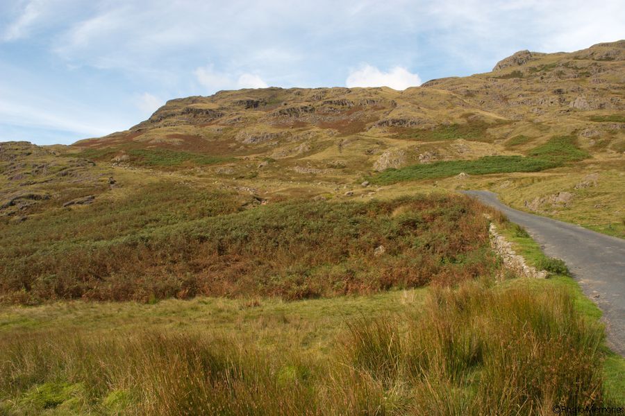 2007-09-08-0187.jpg