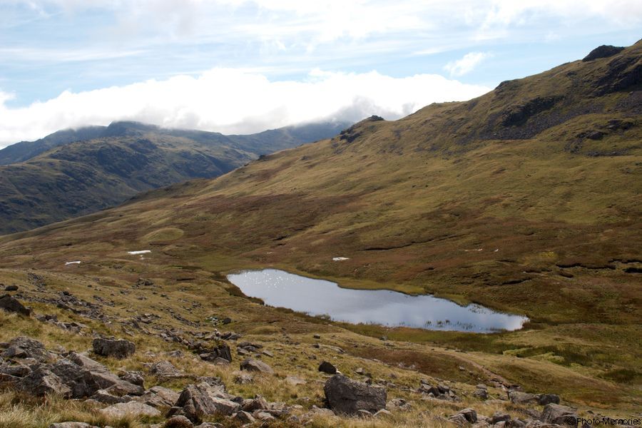 2007-09-08-0205.jpg