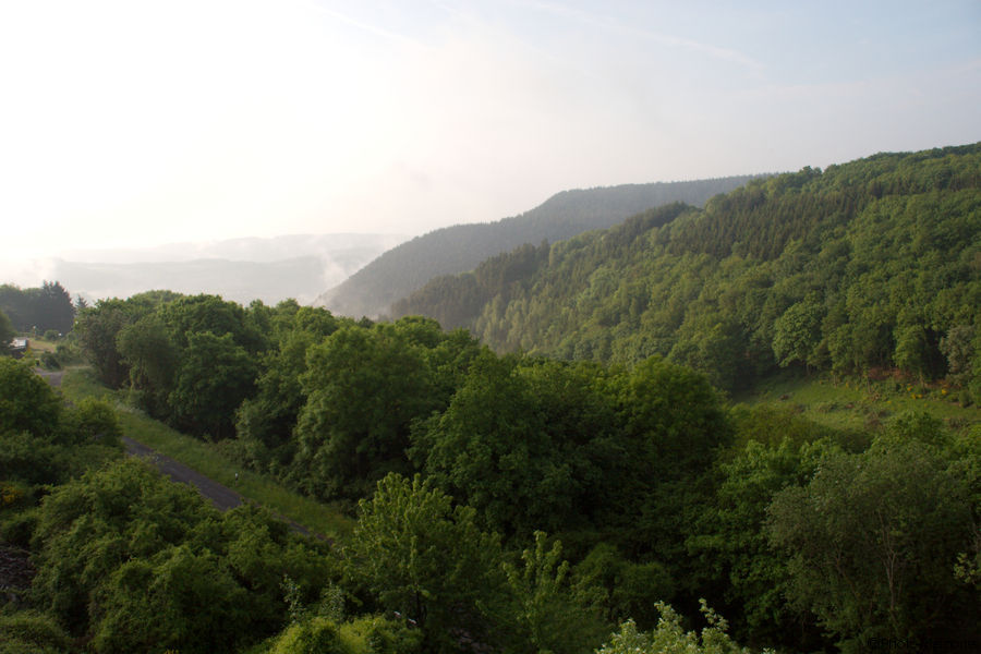 2008-05-16-0008.jpg