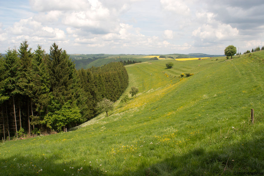 2008-05-16-0015.jpg