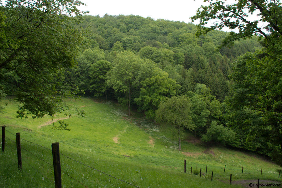 2008-05-17-0017.jpg