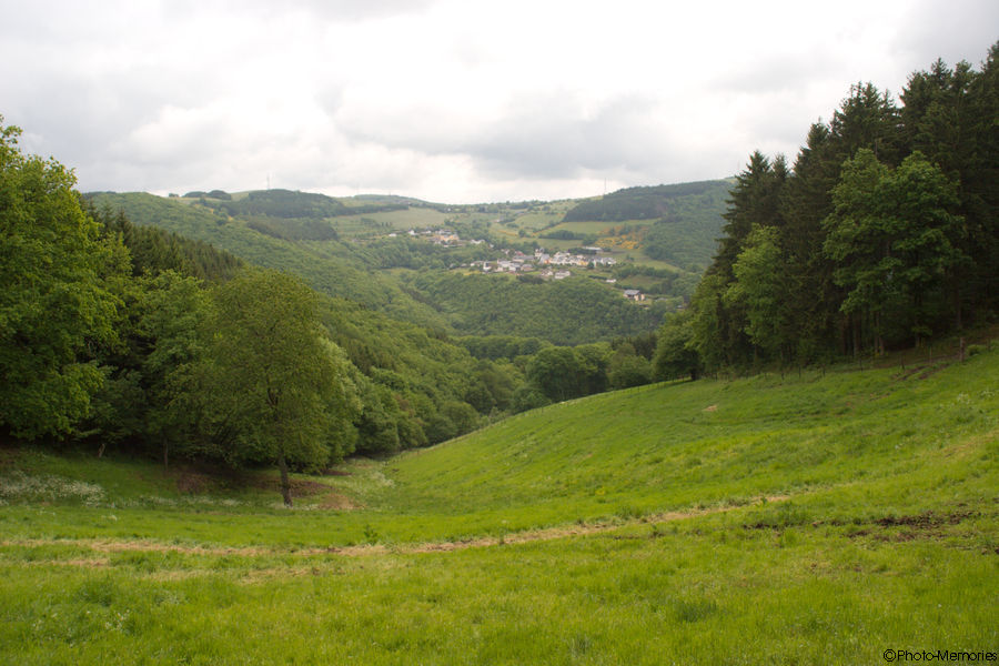 2008-05-17-0018.jpg