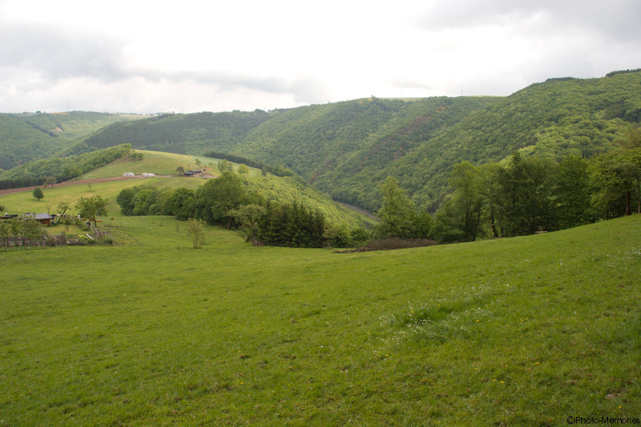 2008-05-17-0020.jpg