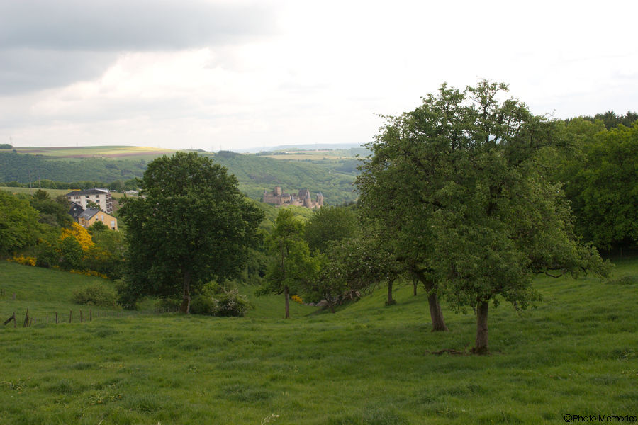 2008-05-17-0032.jpg