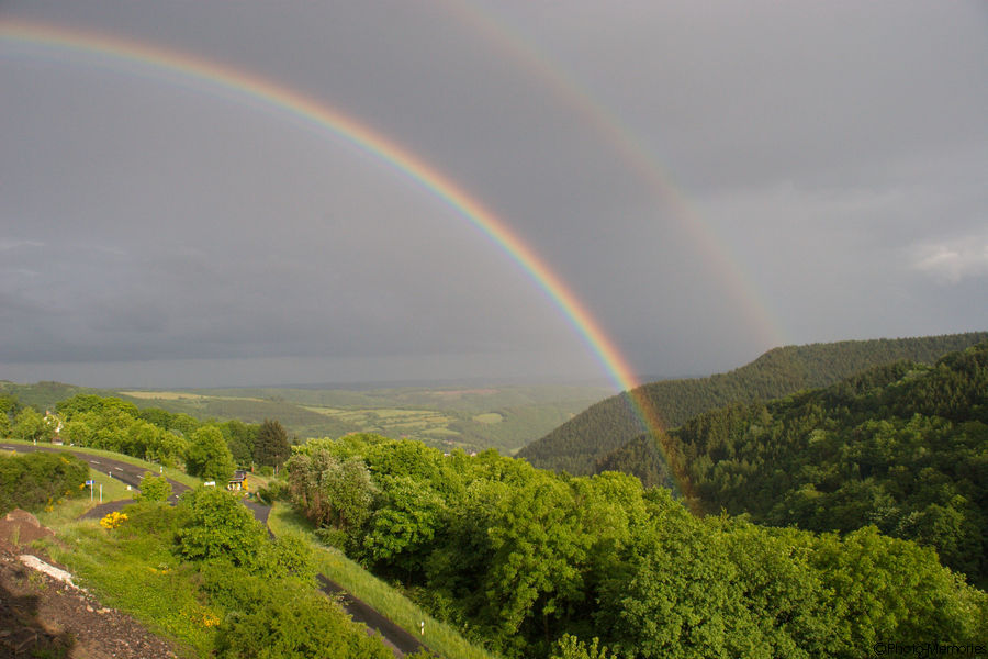 2008-05-17-0033.jpg