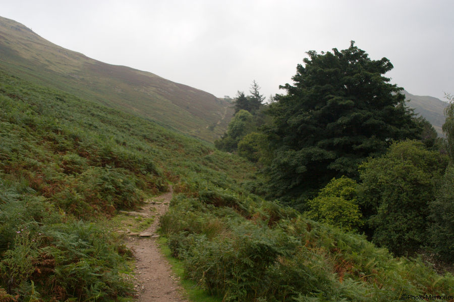 2008-08-31-0018.jpg