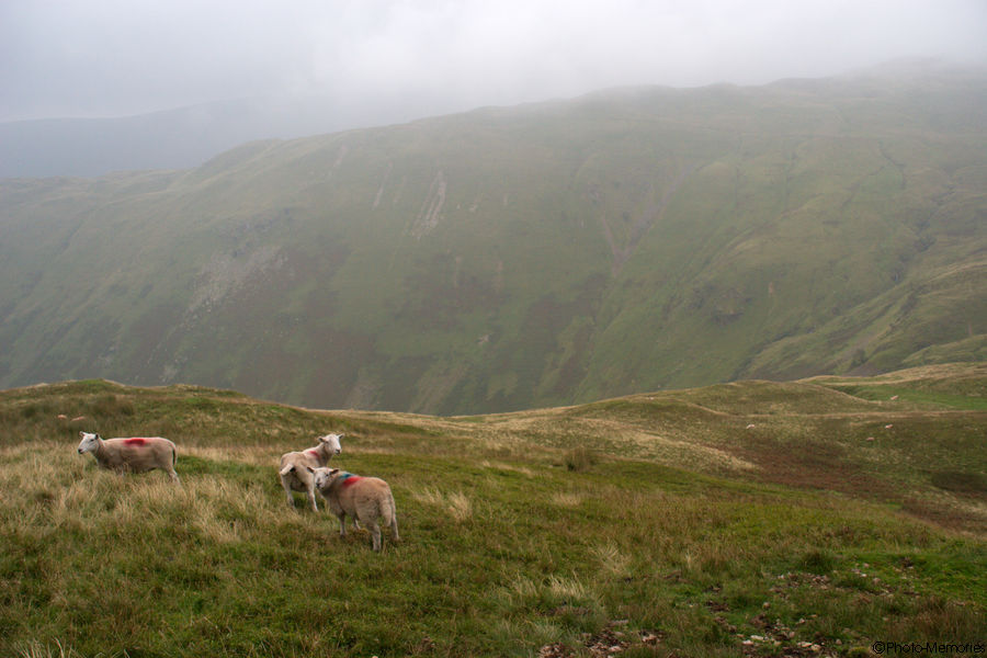 2008-08-31-0022.jpg