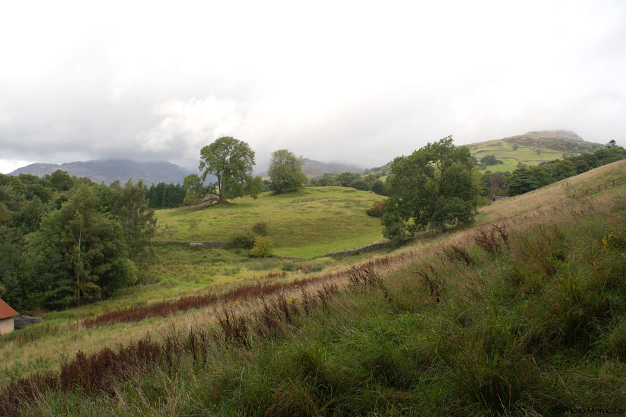 2008-09-01-0043.jpg