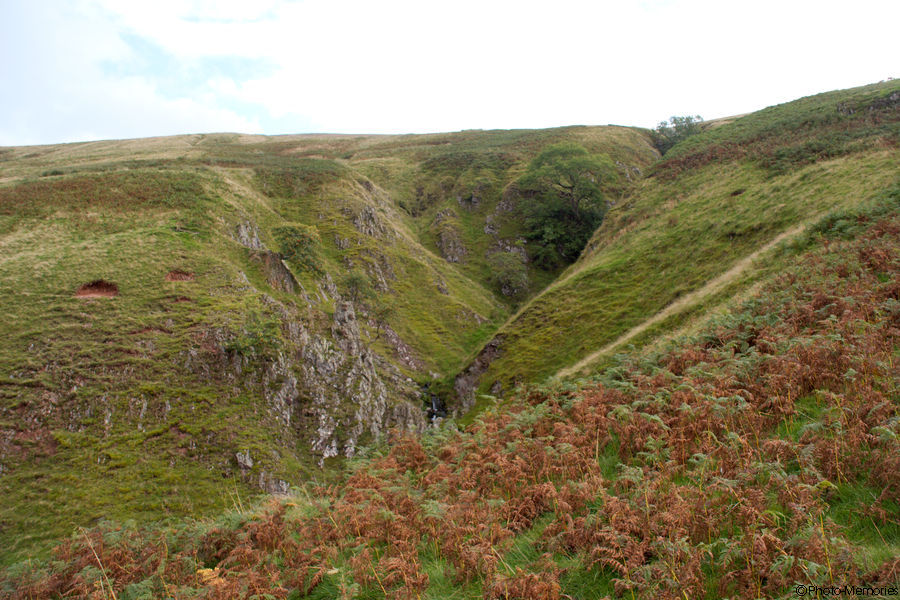 2008-09-02-0082.jpg