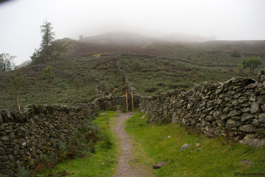 2008-09-04-0096.jpg