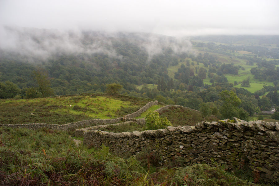 2008-09-04-0097.jpg