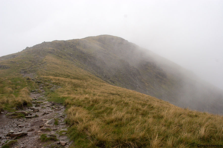 2008-09-04-0104.jpg