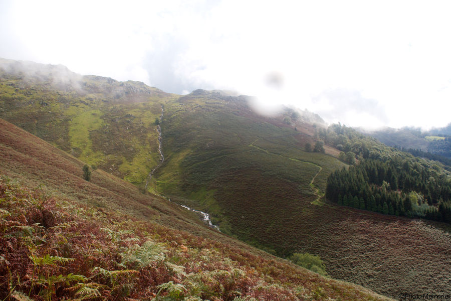 2008-09-04-0112.jpg