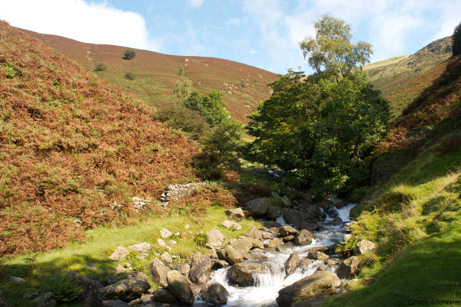 2008-09-04-0114.jpg