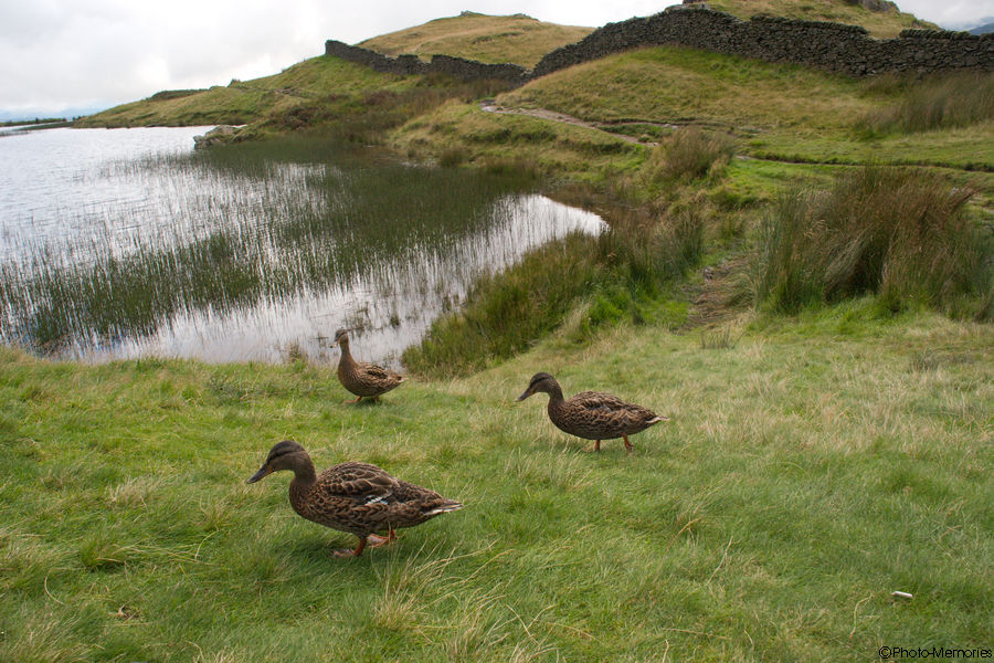 2008-09-04-0120.jpg