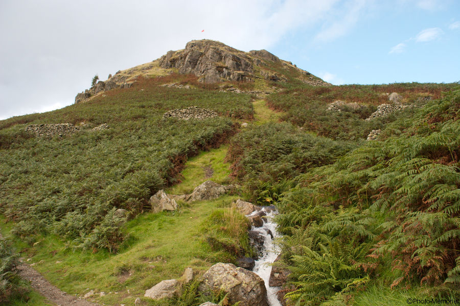 2008-09-04-0123.jpg