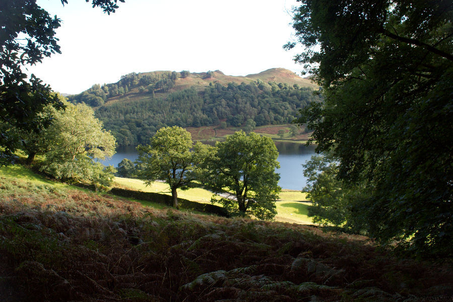 2008-09-04-0127.jpg