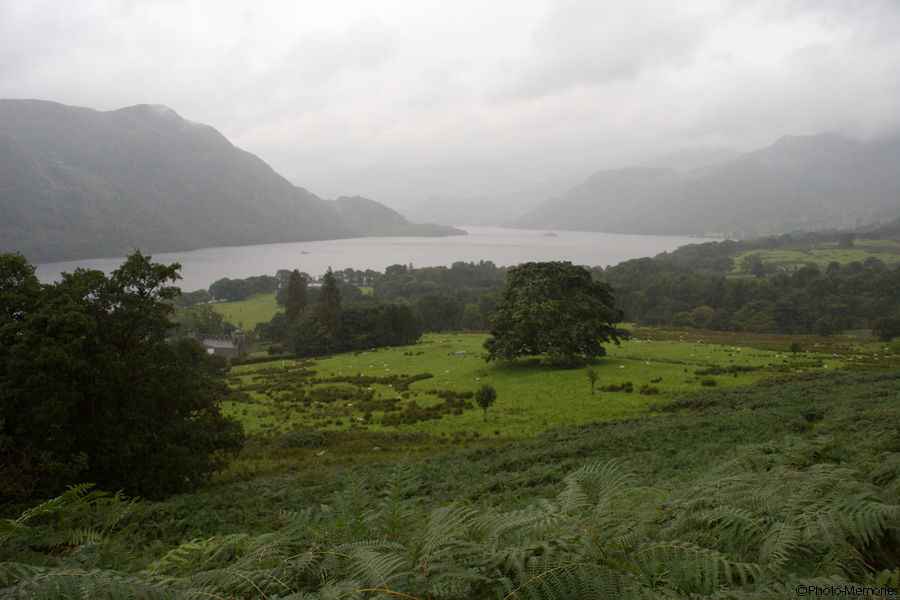 2008-09-05-0133.jpg