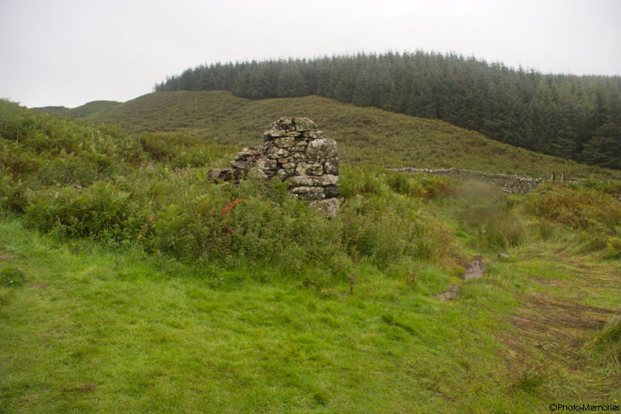 2008-09-05-0139.jpg