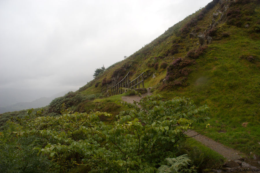 2008-09-05-0140.jpg
