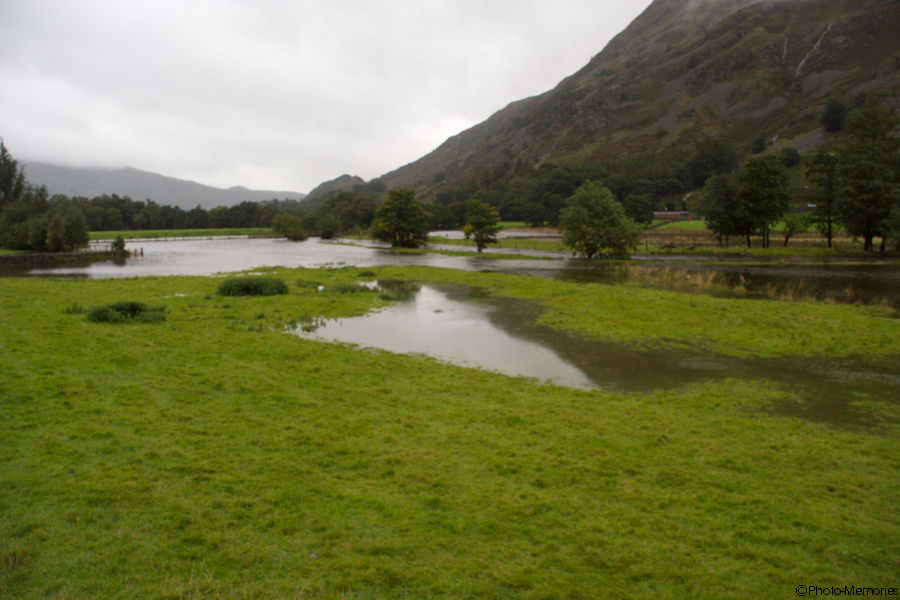 2008-09-06-0142.jpg