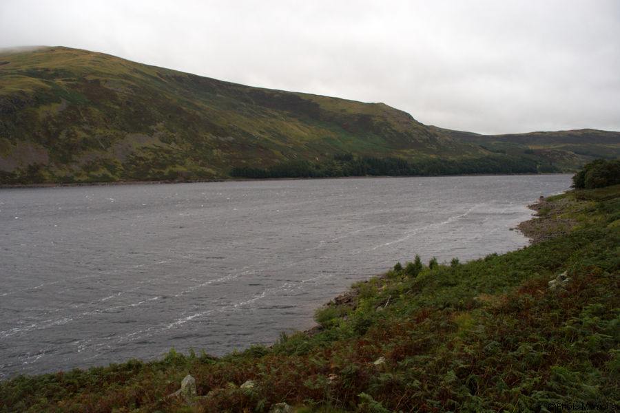 2008-09-06-0146.jpg
