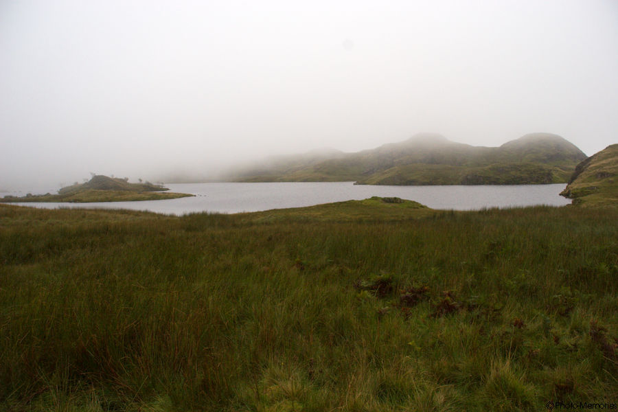 2008-09-07-0160.jpg