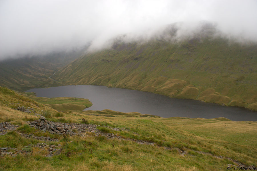 2008-09-07-0165.jpg