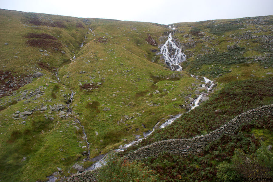 2008-09-07-0171.jpg