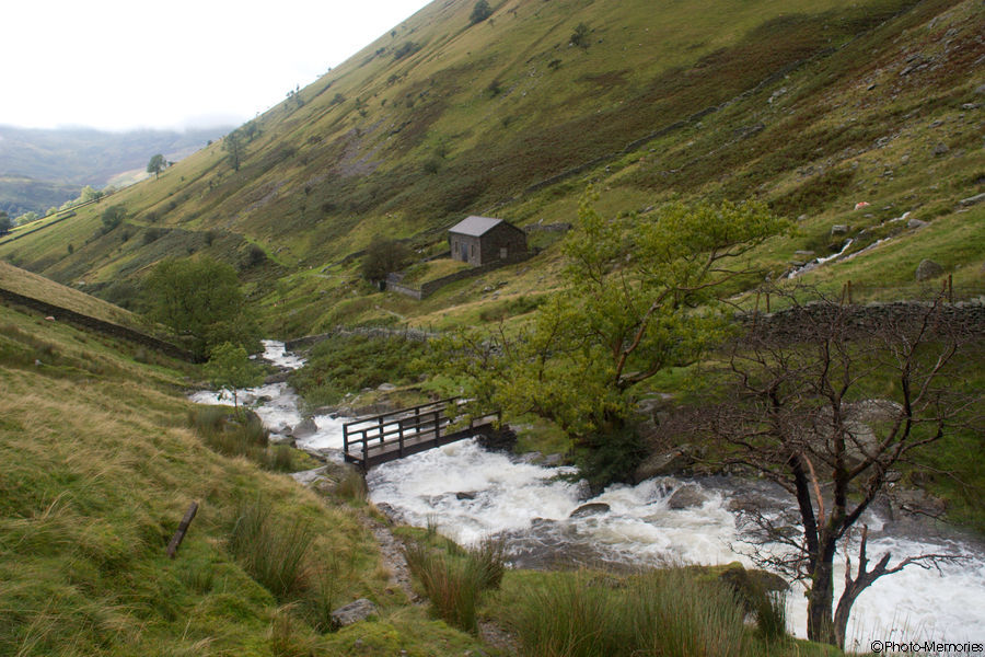 2008-09-07-0172.jpg