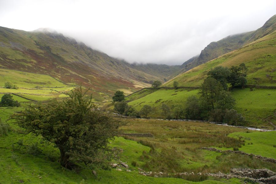 2008-09-07-0178.jpg