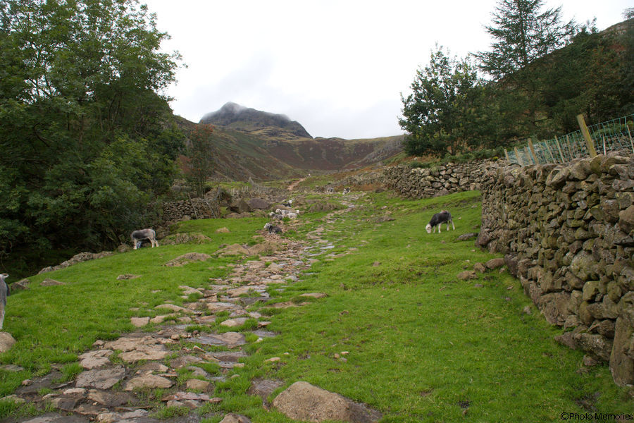 2008-09-08-0182.jpg