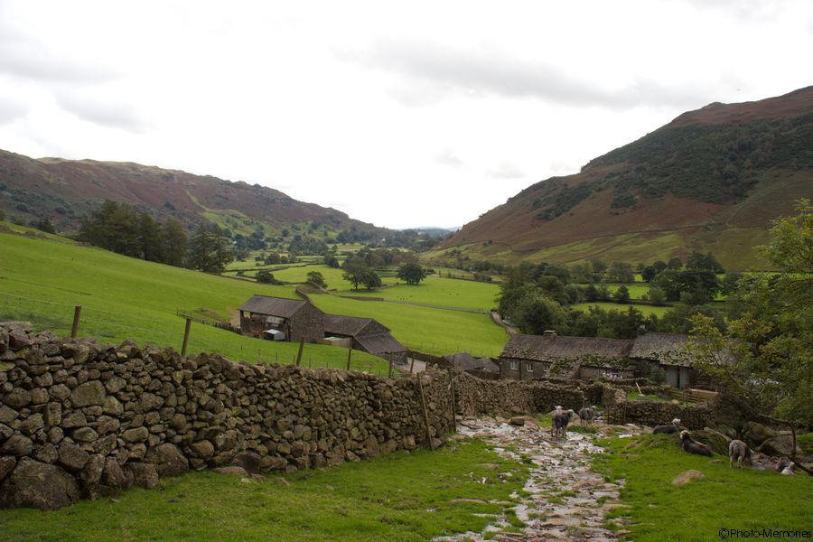 2008-09-08-0183.jpg