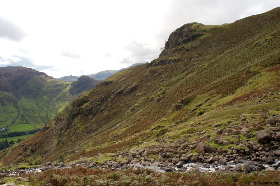 2008-09-08-0187.jpg
