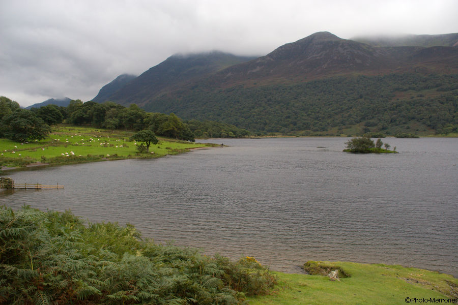 2008-09-09-0232.jpg