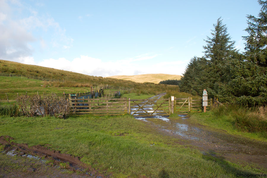 2008-09-10-0237.jpg