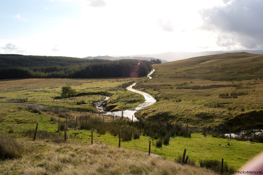 2008-09-10-0241.jpg