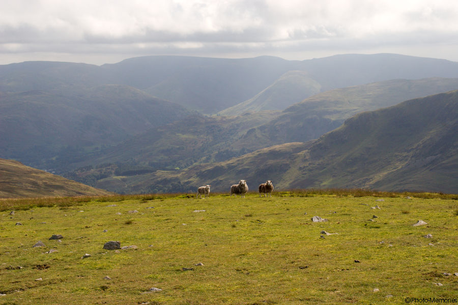 2008-09-10-0265.jpg