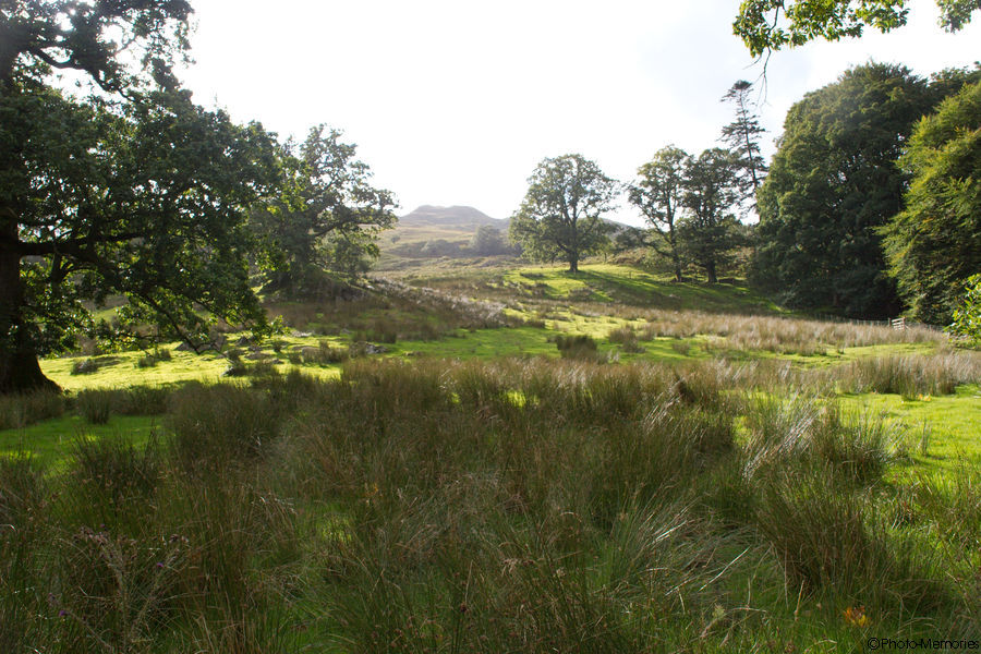 2008-09-11-0277.jpg