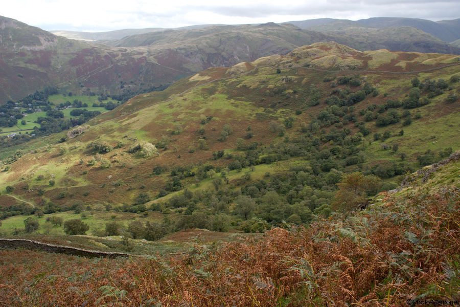 2008-09-11-0288.jpg