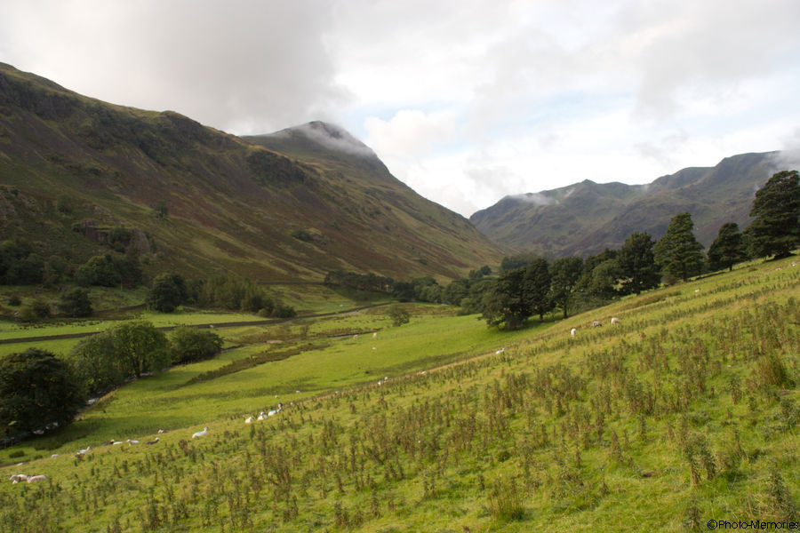 2008-09-12-0295.jpg